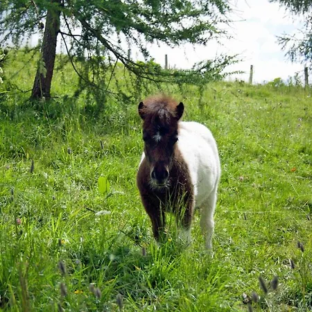 Almliesl Eben-588 Ebene Reichenau